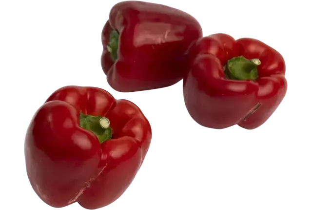 Poivron rouge classe 2 caisse 10kg